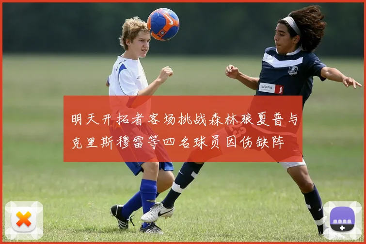 明天开拓者客场挑战森林狼夏普与克里斯穆雷等四名球员因伤缺阵